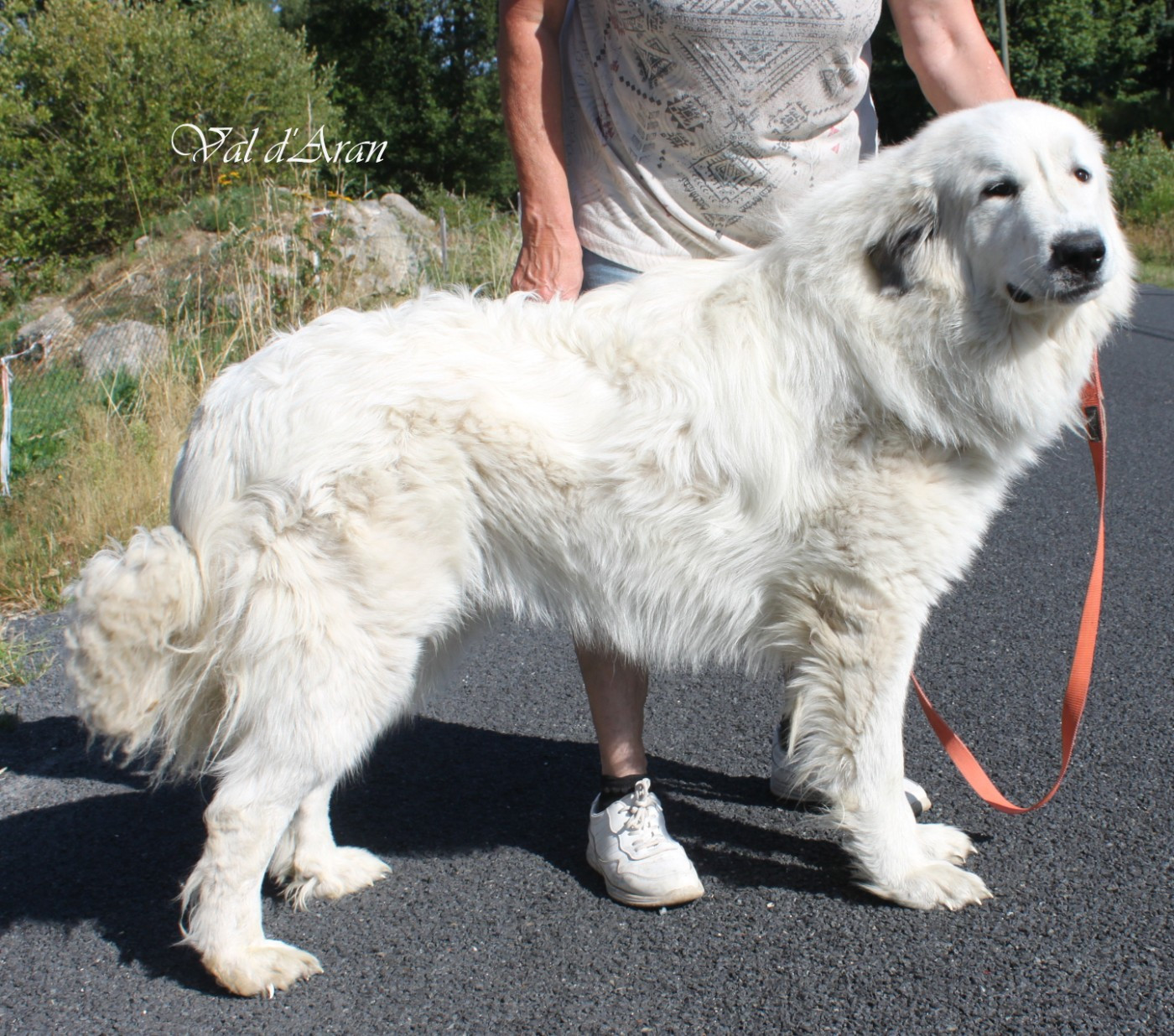 Val d'Aran De La Contrée Du Forez